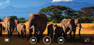 스마트 엔터테인먼트